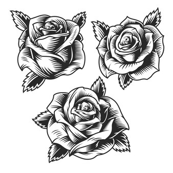 tattoo rosa dibujo