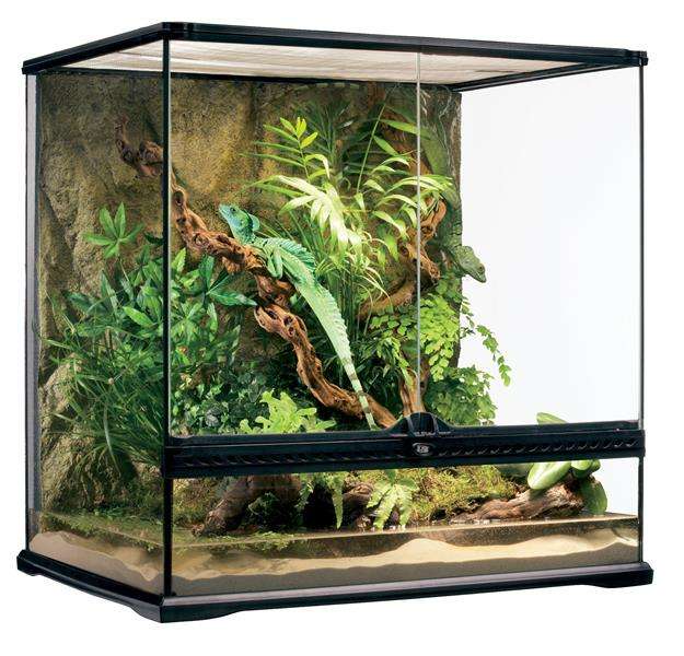 terrarium pl