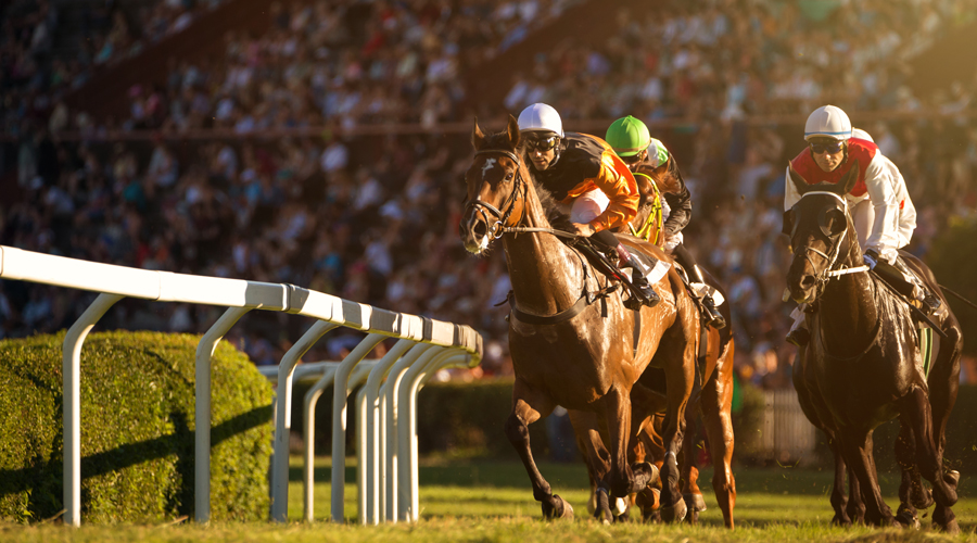 the telegraph horse race