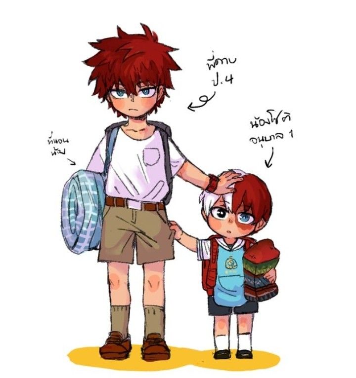 todoroki brother