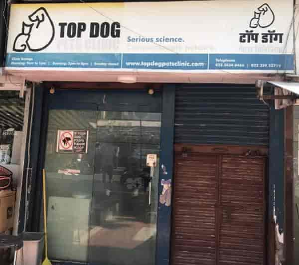 top dog pets clinic top dog healthcare pvt ltd