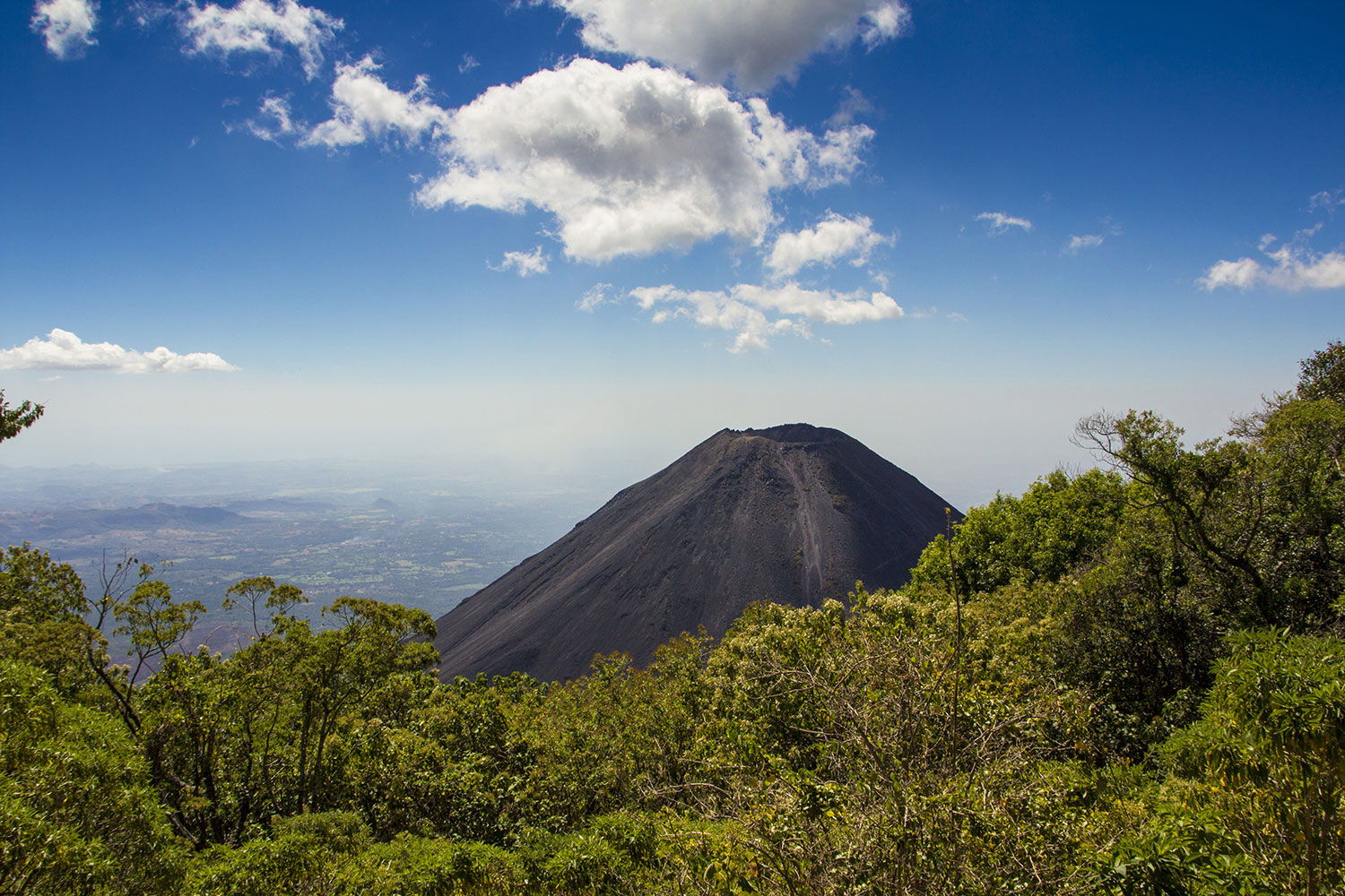 toronto el salvador cheap flights