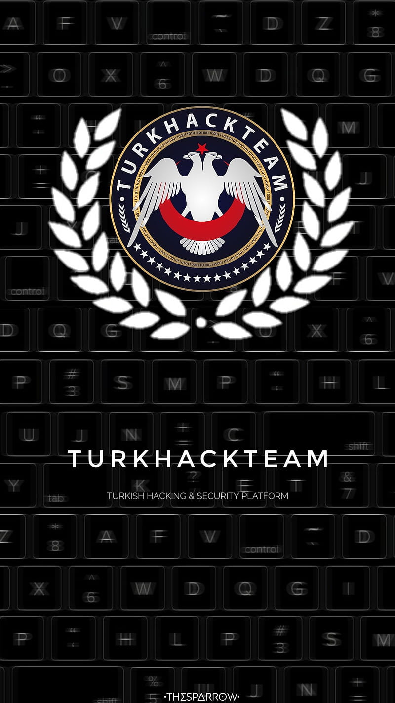 türk hack team