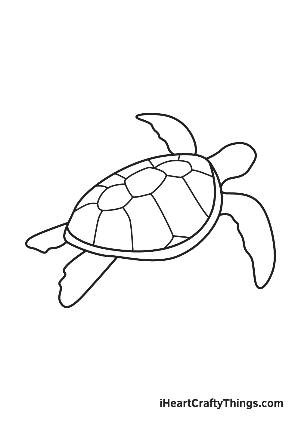 turtle sketch