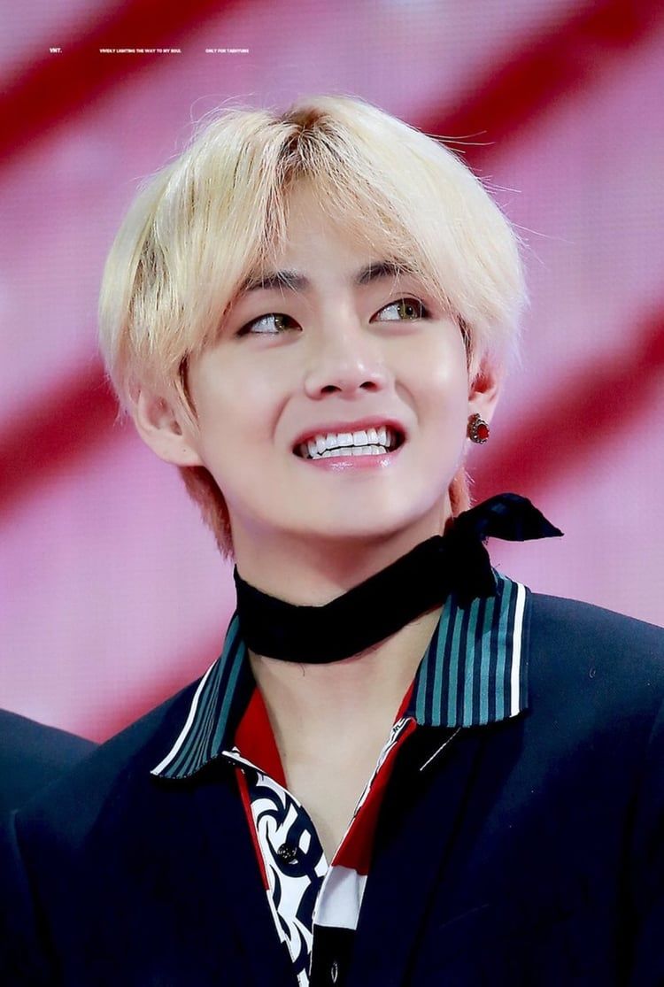 v smile bts