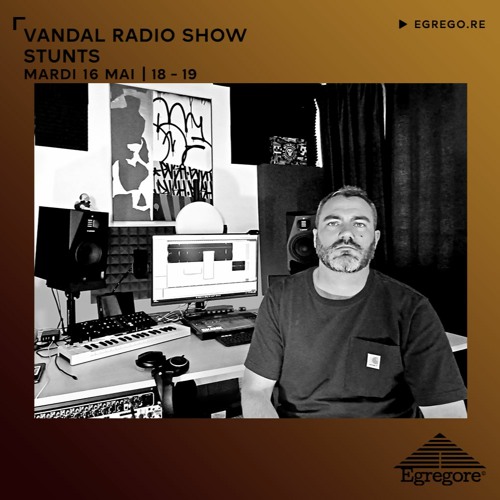 vandal radio