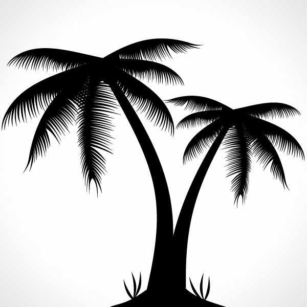 vector palm tree