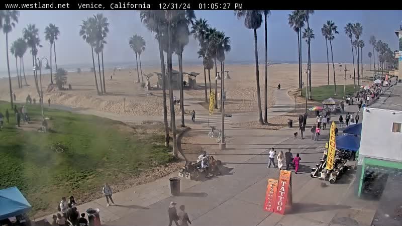 venice beach california webcam