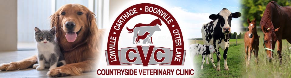 veterinarian lowville ny