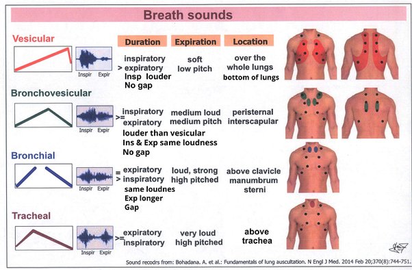 vibration in my chest