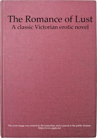 victorian erotic fiction