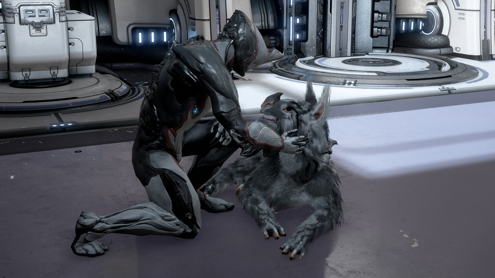 warframe companion