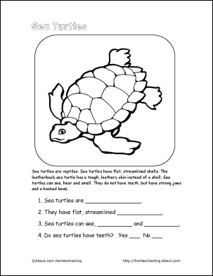 water tortoise crossword clue