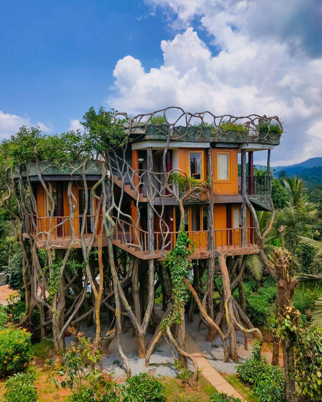 wayanad tree house low price