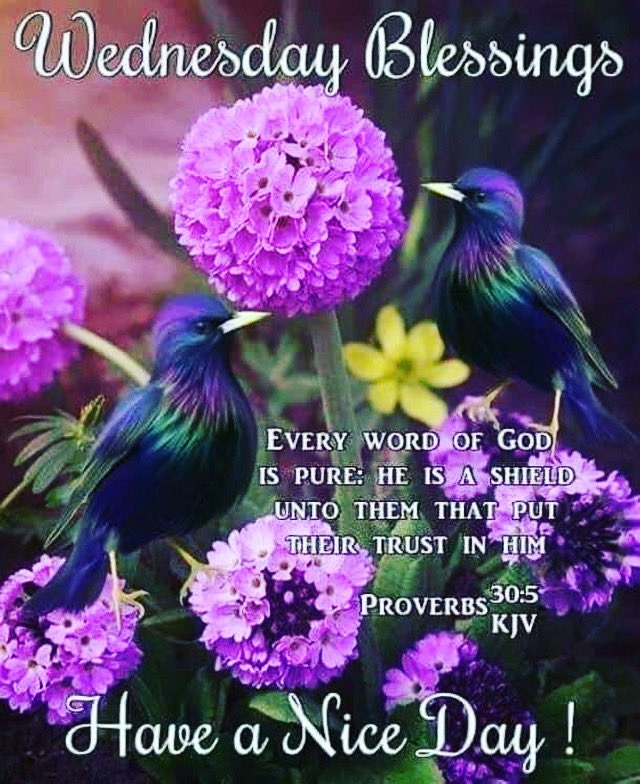 wednesday blessings bible verses