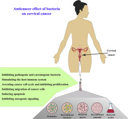 which organism is responsible for cervical cancer