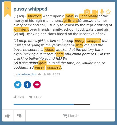 whip urban dictionary