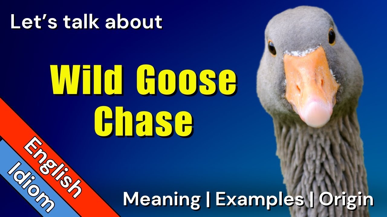 wild goose chase meaning in hindi