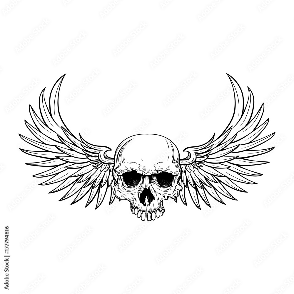 wings and skull tattoo