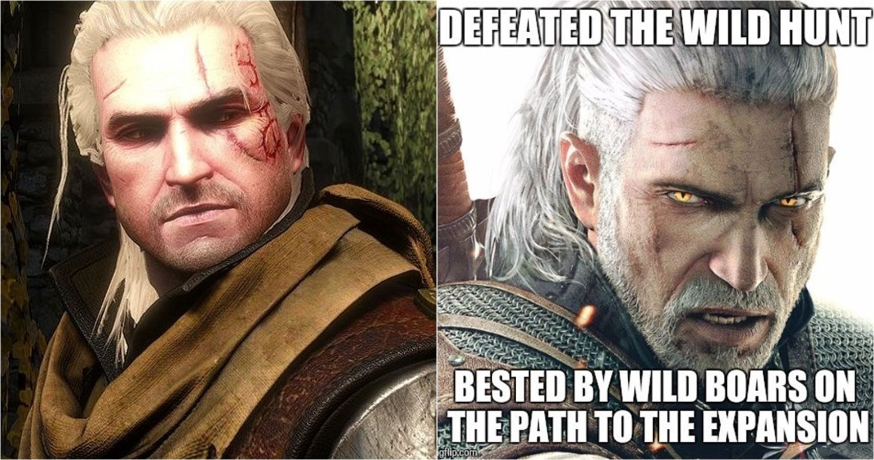 witcher memes