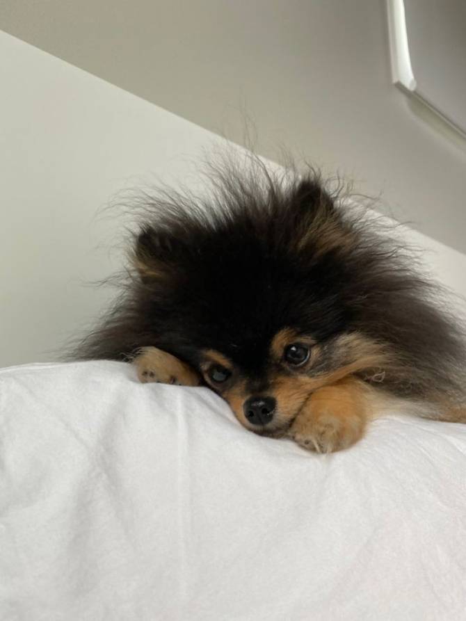 yeontan baby