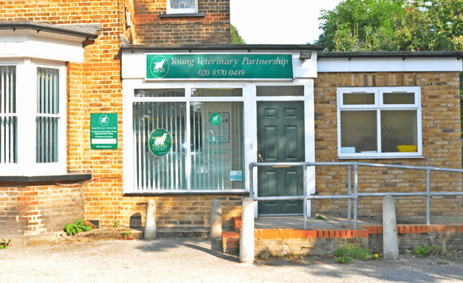 youngs vets hounslow