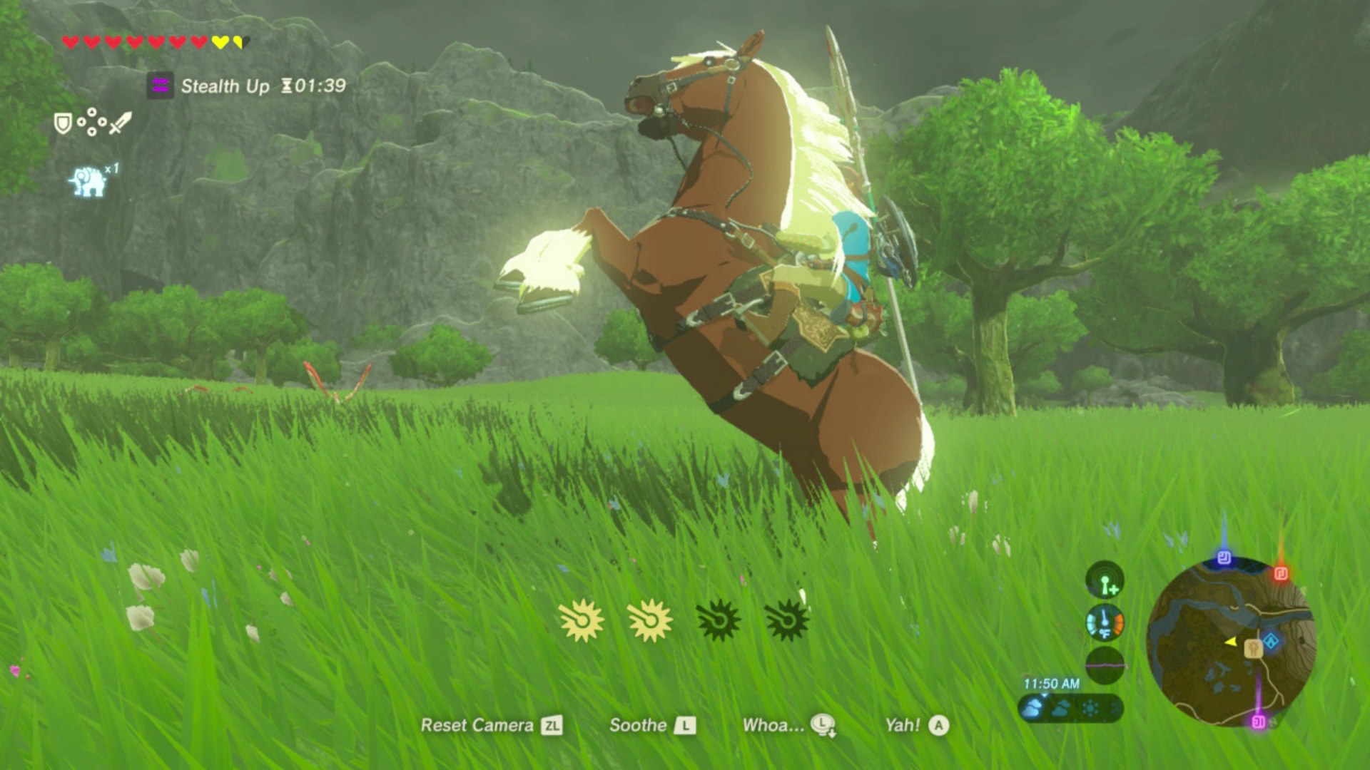 zelda breath of the wild horse