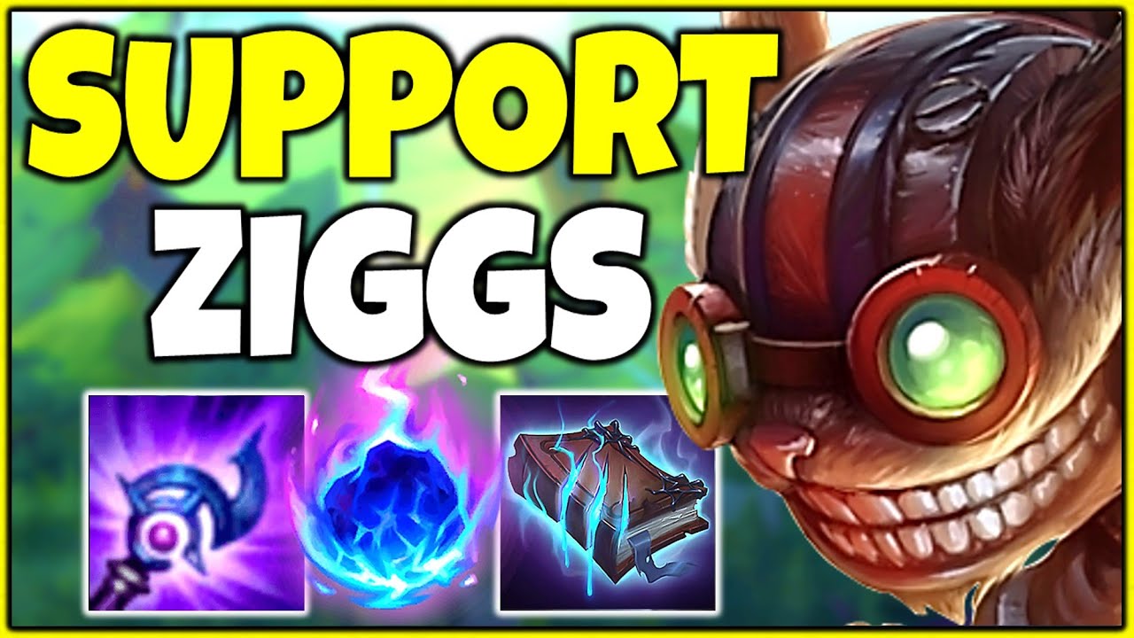 ziggs support