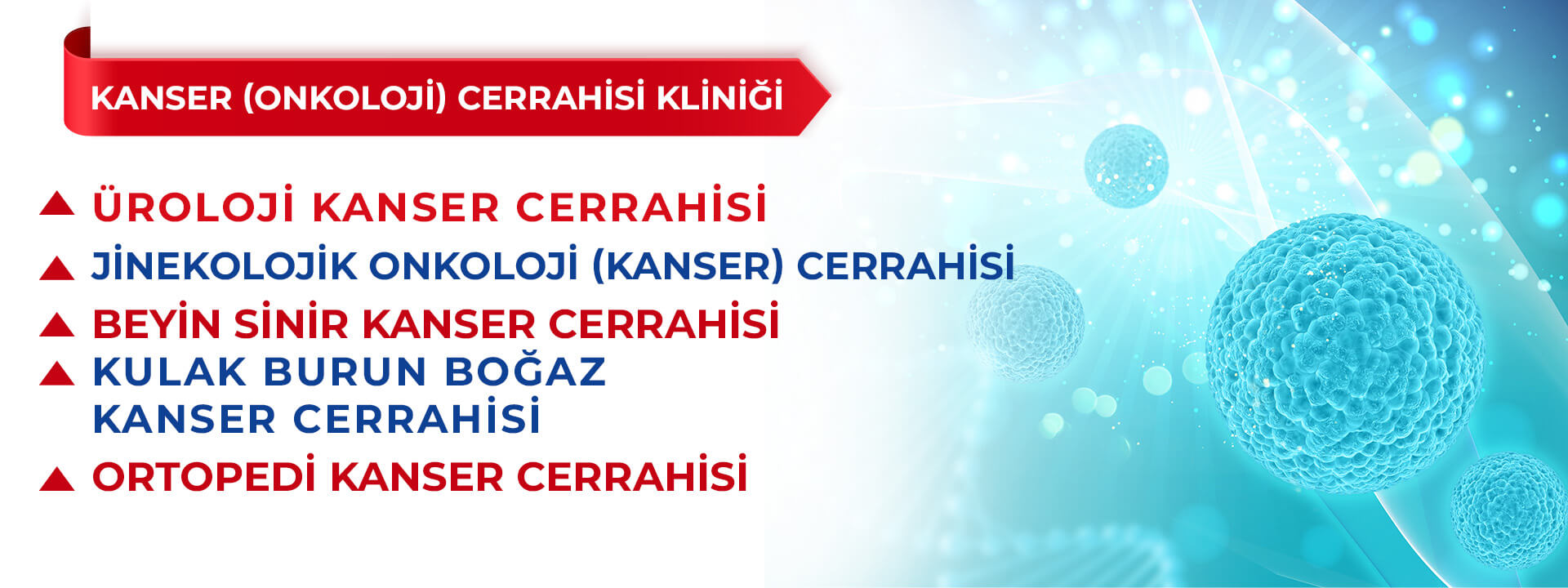 çiğli ekol hastanesi telefon numarası