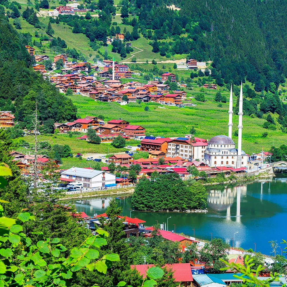 zonguldak trabzon uçak bileti