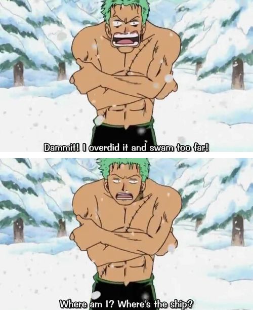 zoro memes