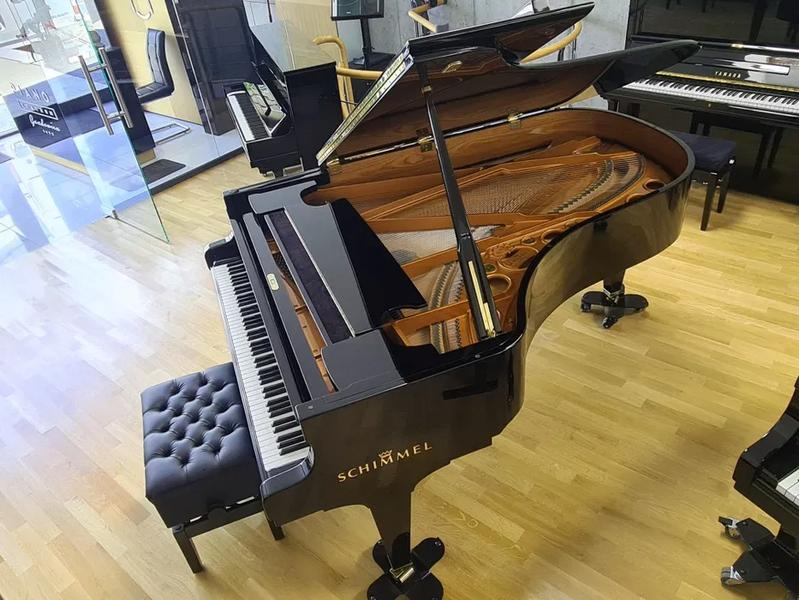 Fortepian jako instrument perkusyjny