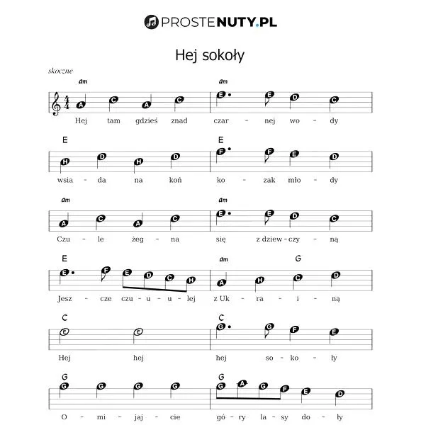 Hej Sokoły na gitarze