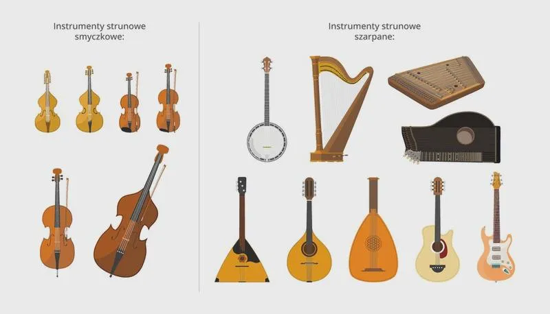 Instrumenty strunowe szarpane