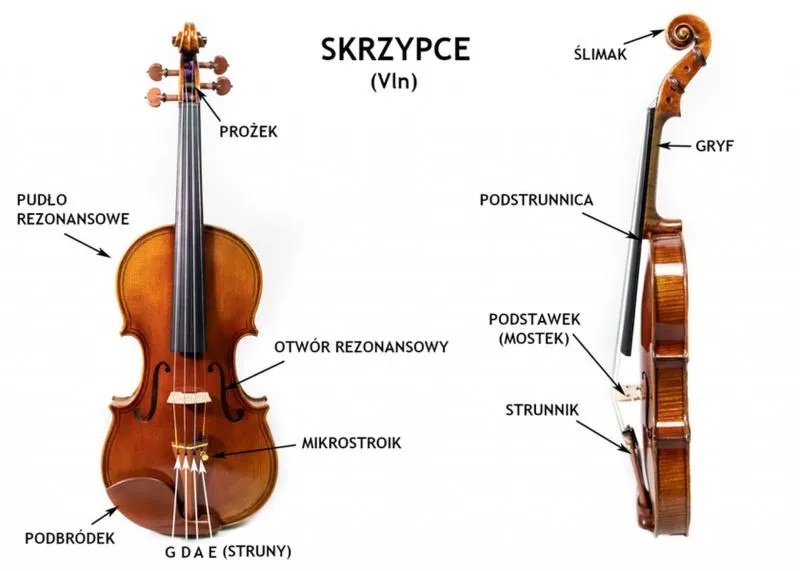 Rola instrumentów w orkiestrze