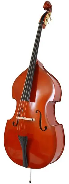 Wybór instrumentu smyczkowego